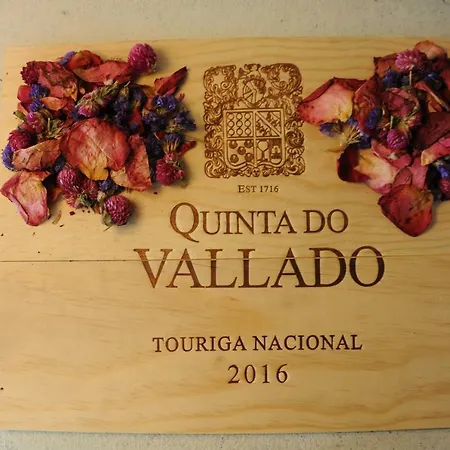 Capim Dourado Cedofeita Porto